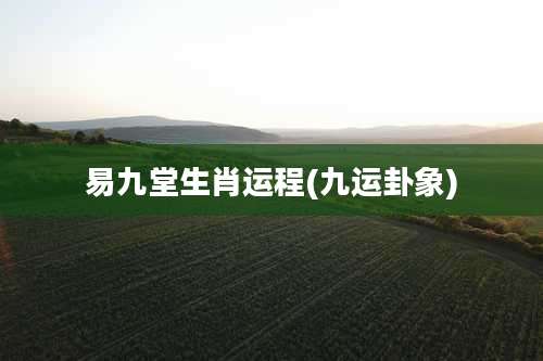 易九堂生肖运程(九运卦象)