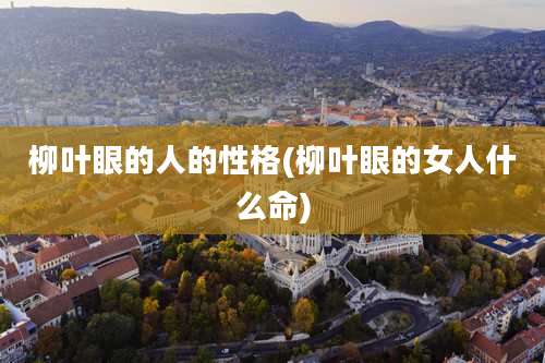 柳叶眼的人的性格(柳叶眼的女人什么命)