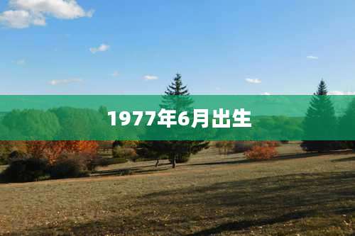 1977年6月出生
