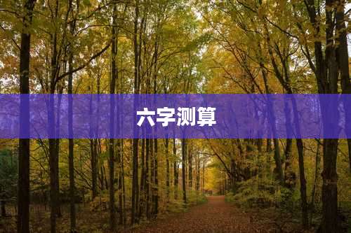 六字测算