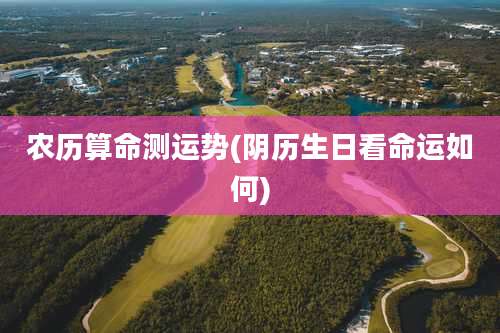 农历算命测运势(阴历生日看命运如何)