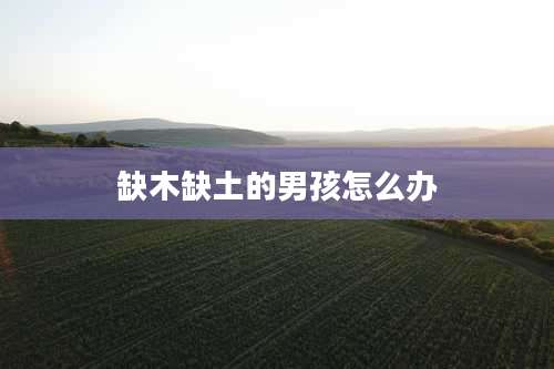 缺木缺土的男孩怎么办