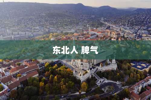 东北人 脾气