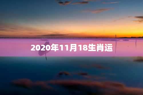 2020年11月18生肖运