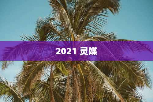 2021 灵媒