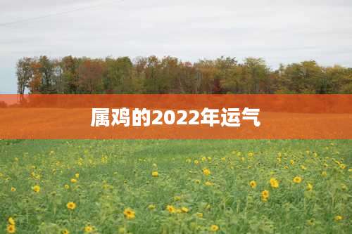 属鸡的2022年运气