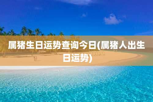 属猪生日运势查询今日(属猪人出生日运势)