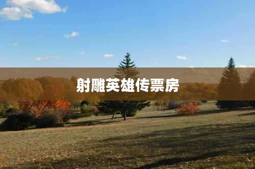 射雕英雄传票房