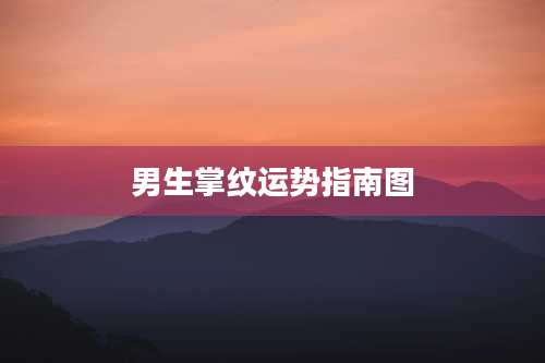 男生掌纹运势指南图