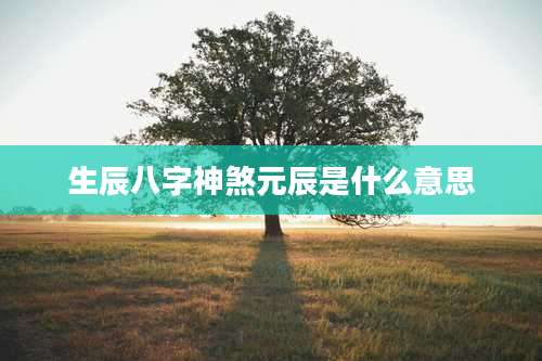 生辰八字神煞元辰是什么意思