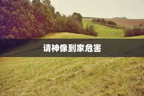 请神像到家危害