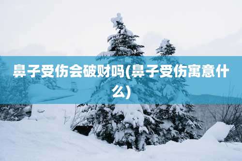 鼻子受伤会破财吗(鼻子受伤寓意什么)