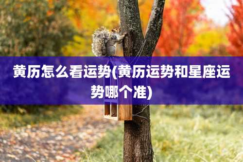 黄历怎么看运势(黄历运势和星座运势哪个准)