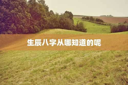 生辰八字从哪知道的呢
