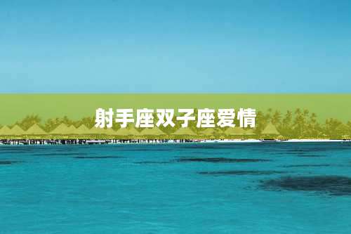 射手座双子座爱情