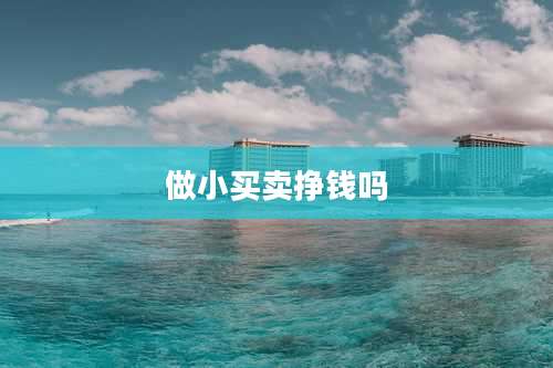 做小买卖挣钱吗