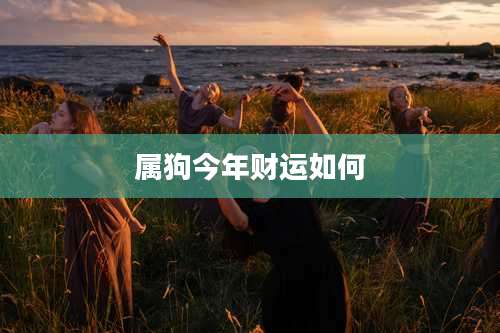 属狗今年财运如何