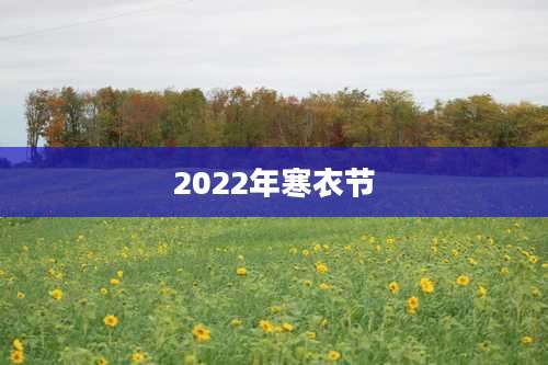2022年寒衣节