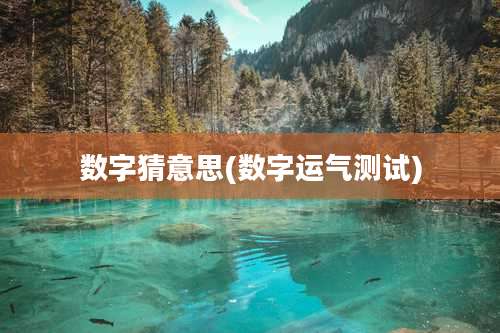 数字猜意思(数字运气测试)