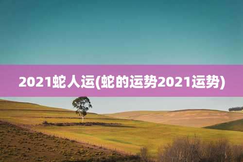 2021蛇人运(蛇的运势2021运势)