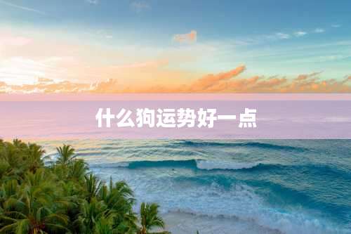 什么狗运势好一点