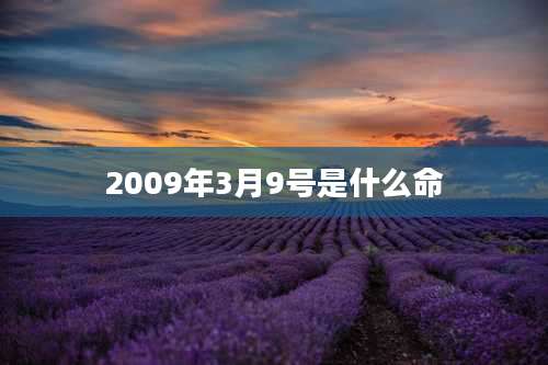 2009年3月9号是什么命