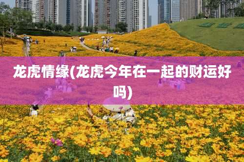 龙虎情缘(龙虎今年在一起的财运好吗)
