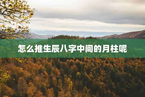 怎么推生辰八字中间的月柱呢