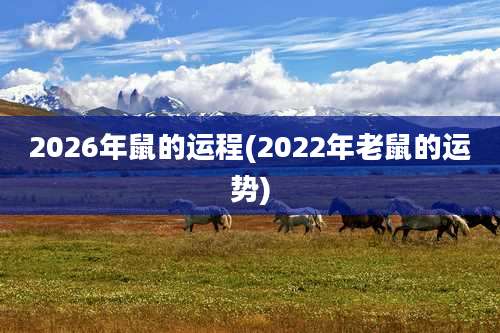 2026年鼠的运程(2022年老鼠的运势)
