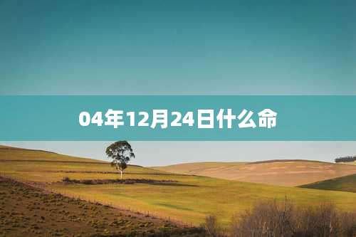 04年12月24日什么命