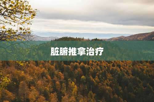 脏腑推拿治疗