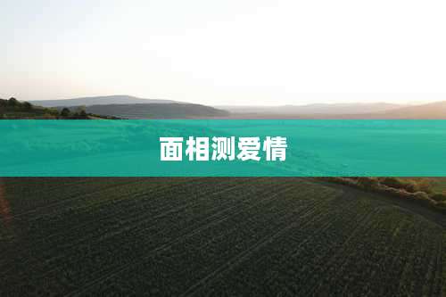 面相测爱情
