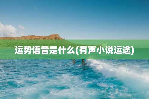 运势语音是什么(有声小说运途)