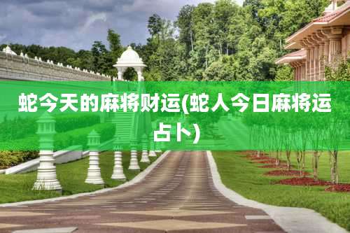 蛇今天的麻将财运(蛇人今日麻将运占卜)