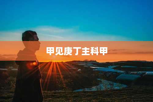 甲见庚丁主科甲