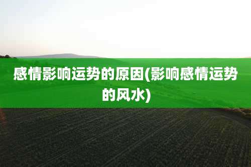 感情影响运势的原因(影响感情运势的风水)