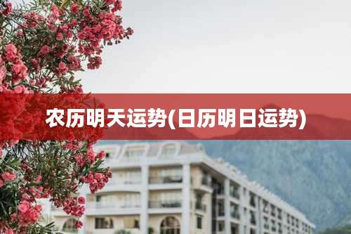 农历明天运势(日历明日运势)