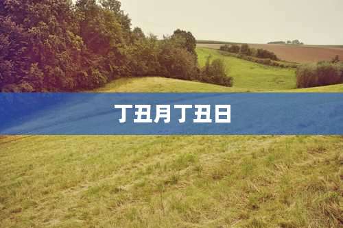 丁丑月丁丑日