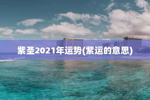 紫圣2021年运势(紫运的意思)