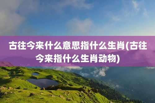 古往今来什么意思指什么生肖(古往今来指什么生肖动物)