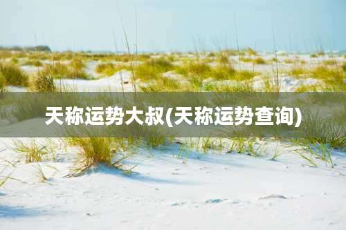 天称运势大叔(天称运势查询)