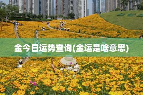 金今日运势查询(金运是啥意思)