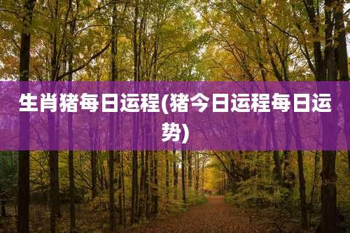 生肖猪每日运程(猪今日运程每日运势)