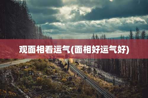观面相看运气(面相好运气好)