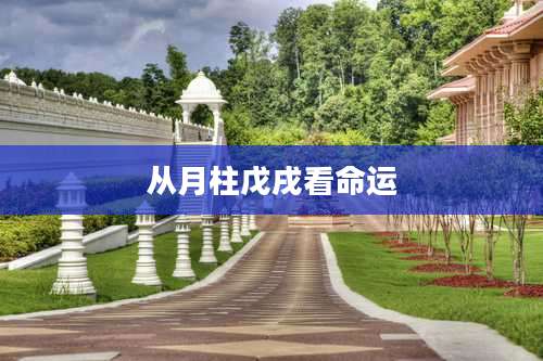 从月柱戊戌看命运