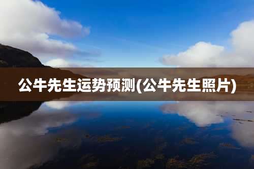 公牛先生运势预测(公牛先生照片)