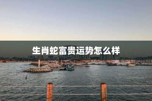 生肖蛇富贵运势怎么样