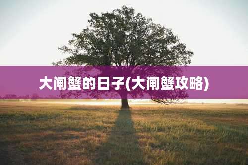 大闸蟹的日子(大闸蟹攻略)