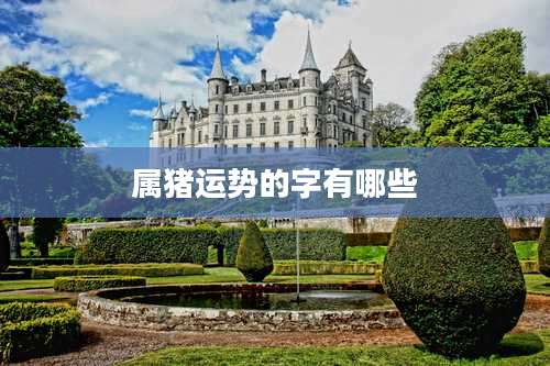 属猪运势的字有哪些