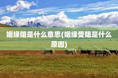 姻缘阻是什么意思(姻缘受阻是什么原因)